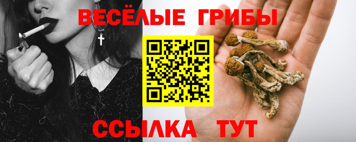 Псилоцибиновые грибы MAGIC MUSHROOMS Джанкой