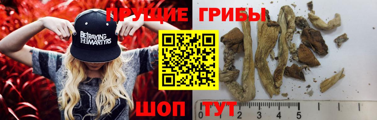 купить   Вход с VPN  Джанкой  Псилоцибиновые грибы Magic Shrooms 